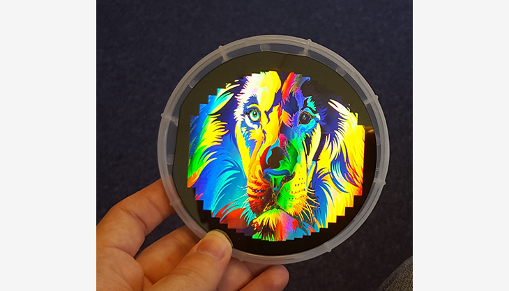 6686 - �����������±���������ֱ��ƽ̨_6686sports