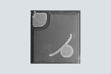 6686 - �����������±���������ֱ��ƽ̨_6686sports