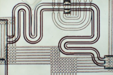 6686 - �����������±���������ֱ��ƽ̨_6686sports